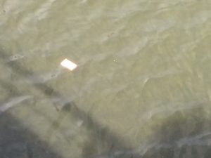 Lohnt sich's_1