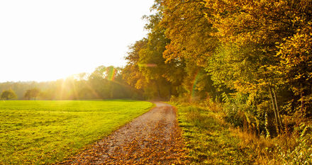 Auf dem Weg… eine Ode