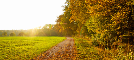 Auf dem Weg… eine Ode