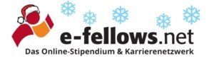e-fellows.net - Karrierenetzwerk