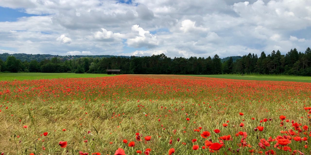 Zwischenbilanz
