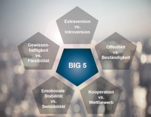 BIG 5 Persoenlichkeitstest, der Linc Personality Profiler