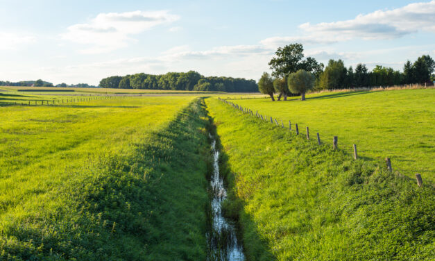 Wunsch, Ziel… Unerreichbar