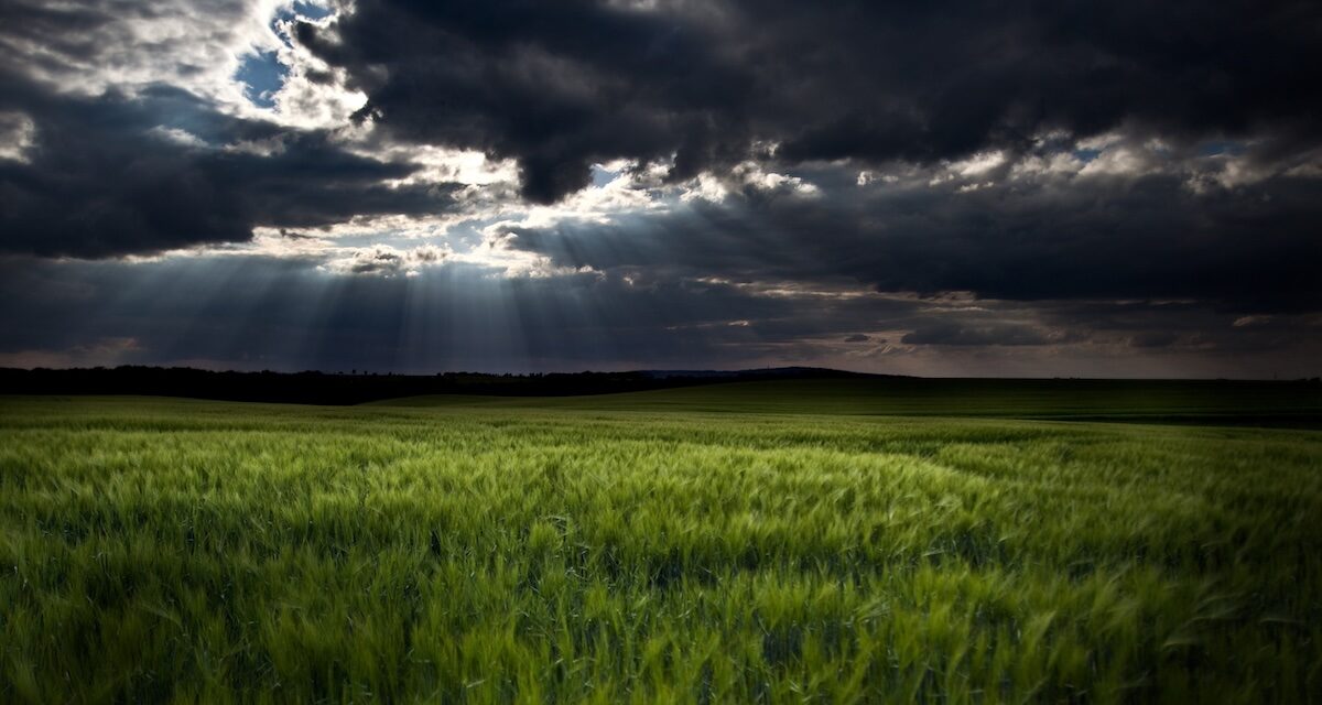 Ärger, Enttäuschung und noch mehr