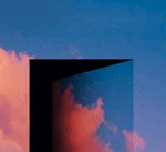 Wie rational sind meine Entscheidungen?