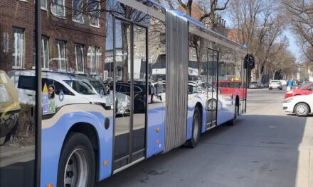 Ich hab’s einfach probiert